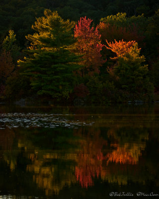 Island Pond