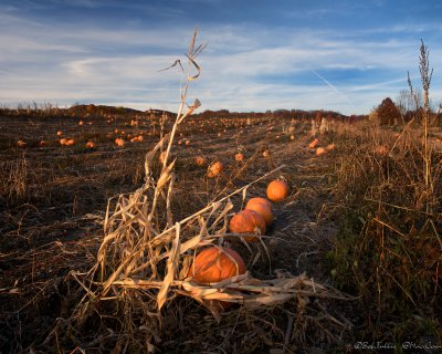 20081102-20081102-_MG_2444-47_pano8b.jpg