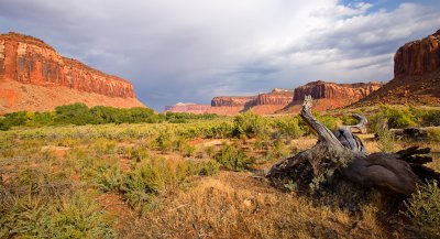 Untitled-2.jpg