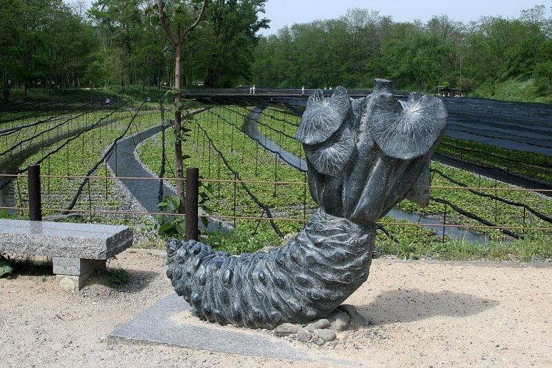 _MG_3717.jpg