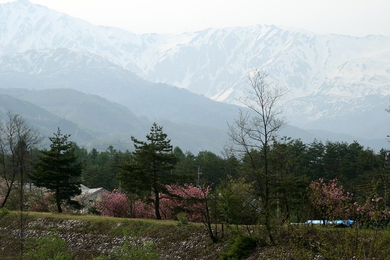 _MG_3755.jpg