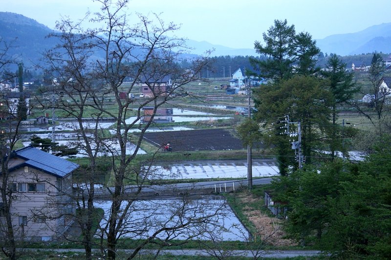 _MG_3765.jpg