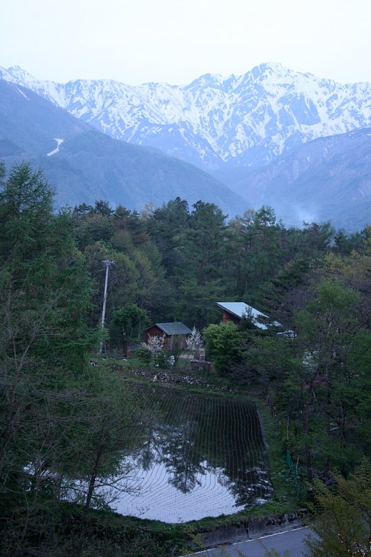 _MG_3766.jpg