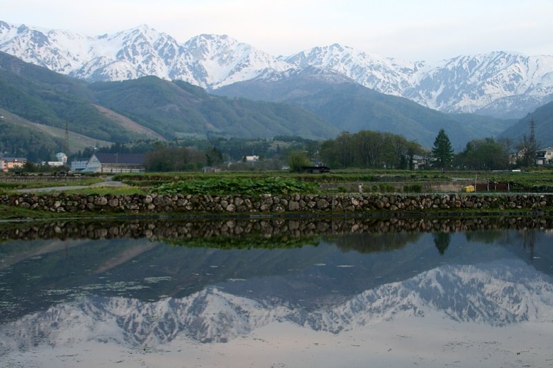 _MG_3776.jpg