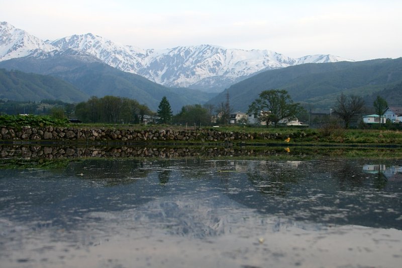 _MG_3779.jpg
