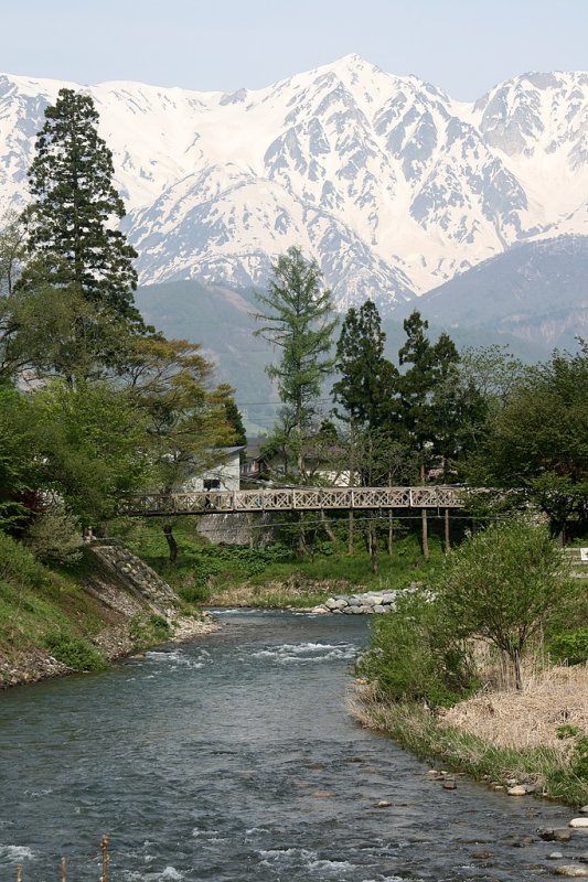 _MG_3823.jpg