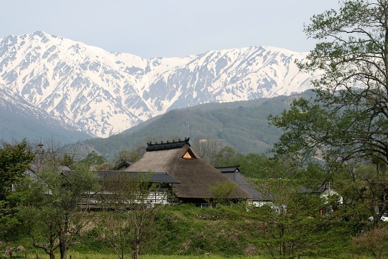 _MG_3824.jpg