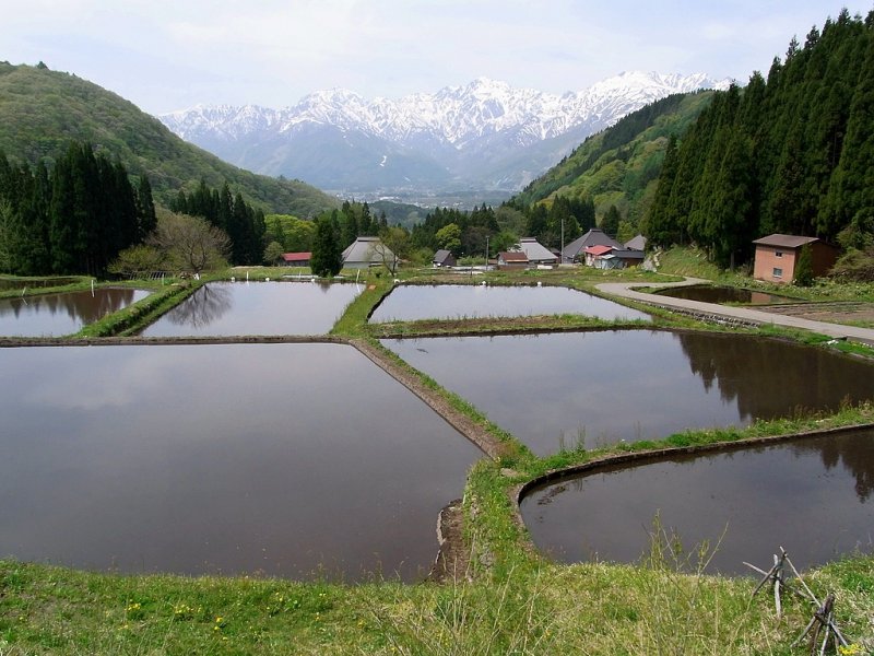 RIMG0159.jpg