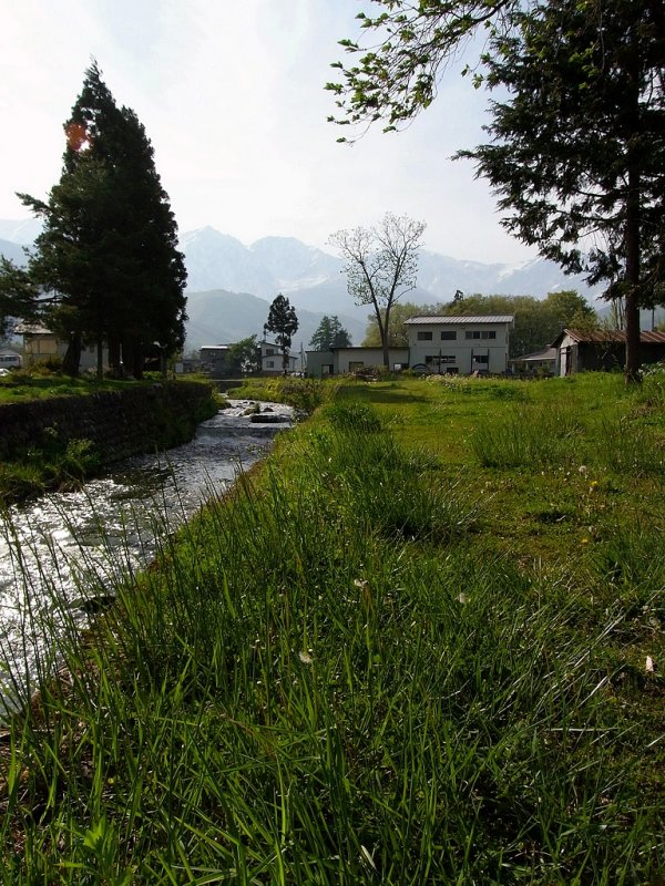 RIMG0249.jpg