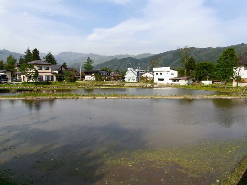 RIMG0265.jpg