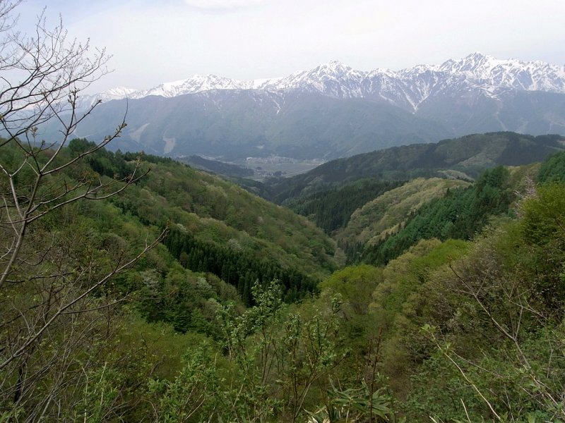 RIMG0321.jpg