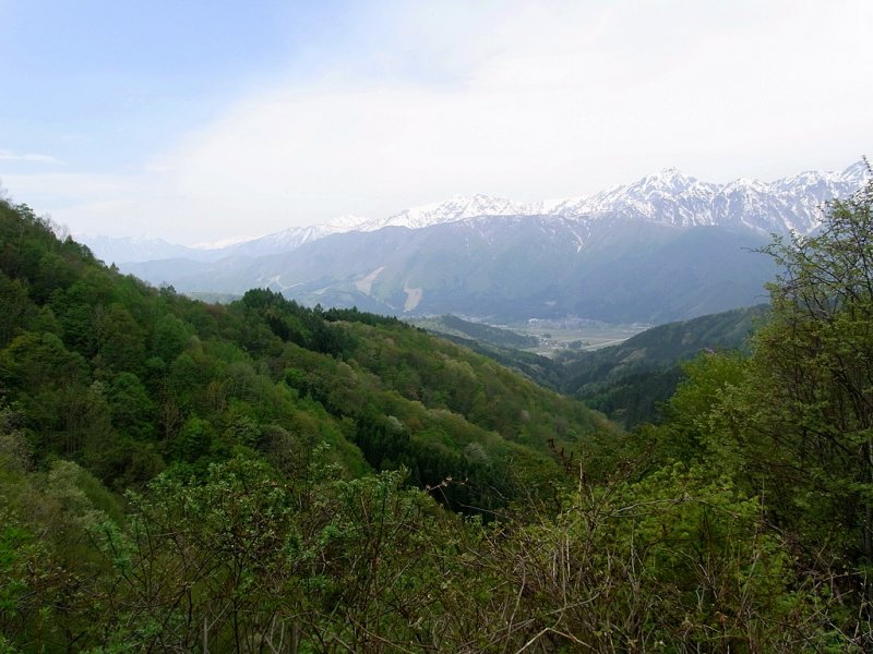 RIMG0326.jpg