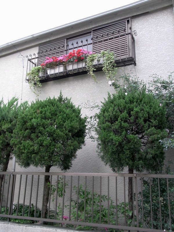 RIMG0455.jpg