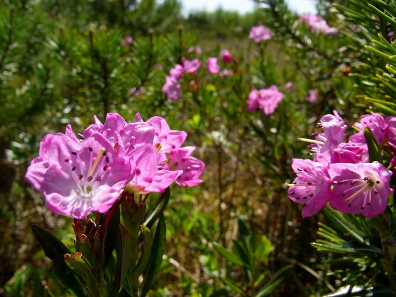 R0010103.jpg