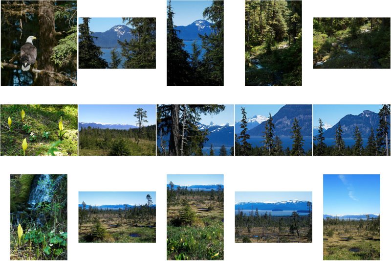 Contact Sheet