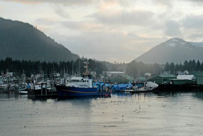 North Harbor - fishing tender