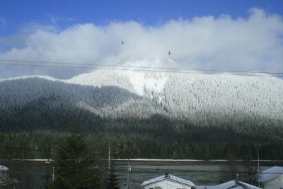 View out bedroom window