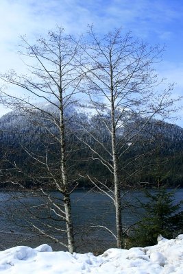_MG_3674.jpg