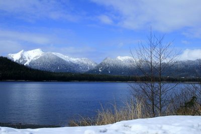 _MG_3676.jpg