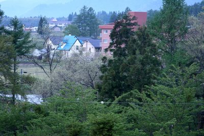 _MG_3763.jpg