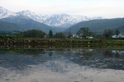 _MG_3779.jpg