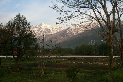 _MG_3805.jpg