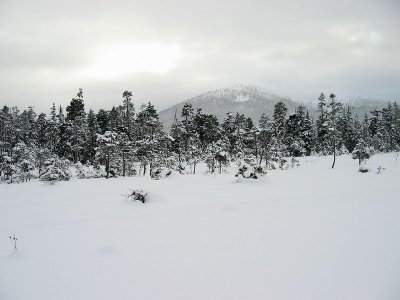 IMG_8534.jpg