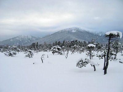IMG_8538.jpg