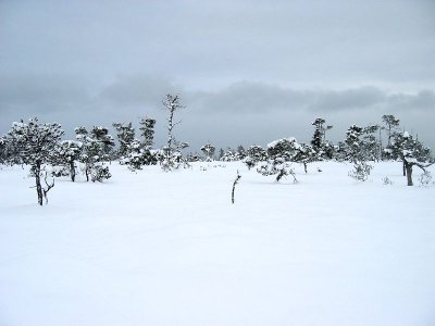 IMG_8539.jpg