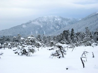 IMG_8540.jpg