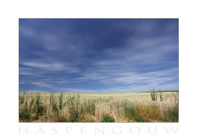IMG_9455c.jpg