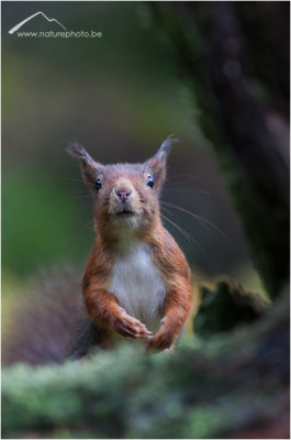 Hey you, yes you, what's up?