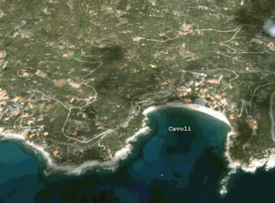 Cavoli
