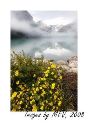 Lake Louise misty morning-1