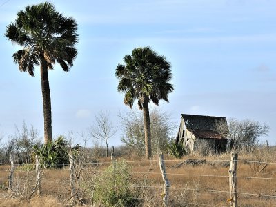 FM1144, Karnes County, TX