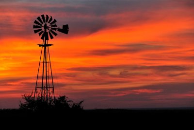 A South Texas Ranch