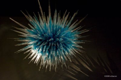 Glass Thistle in Blue
