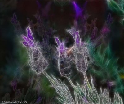Fractal Composite #2