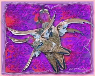Symphony in Flight