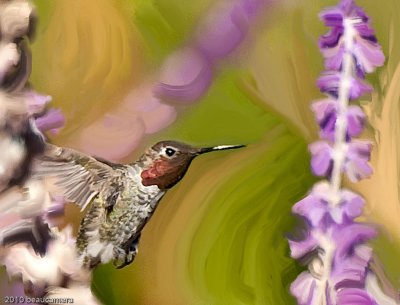 Hummer on the Wing