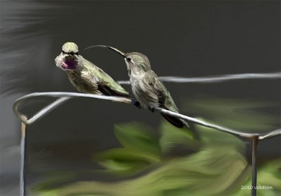 Hummer Challenge.