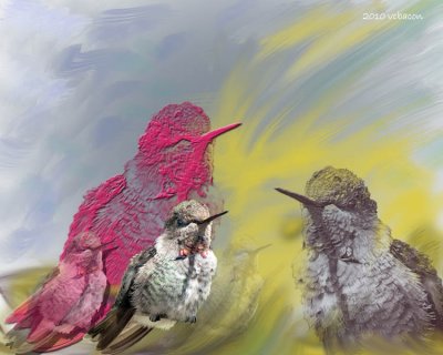 Birds of a Feather