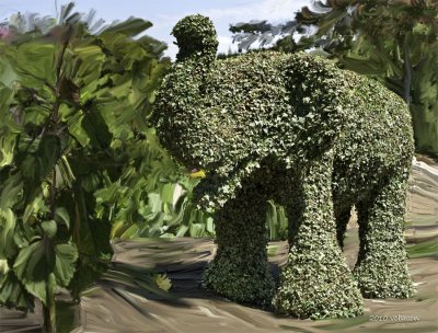On the trail of a green elephant