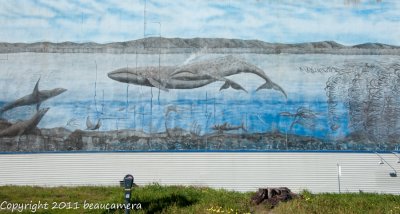 Cannery Row Mural