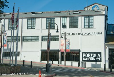 The Aquarium at Cannery Row.