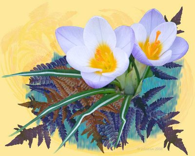 Spring Joy