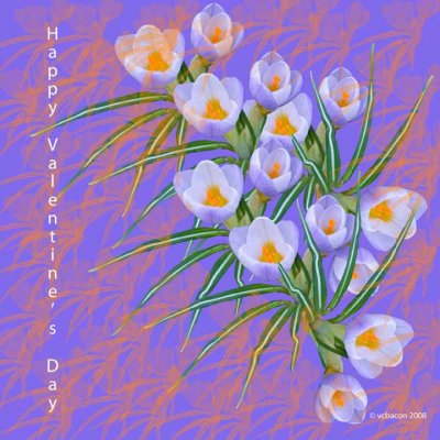 Happy Valentine's Day