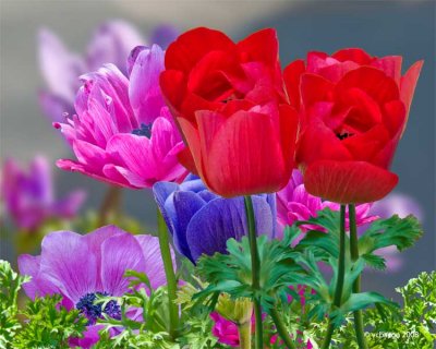 Spring Bouquet