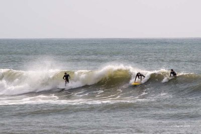 Surfing along the Coast #1