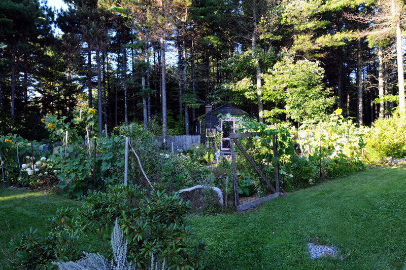 DSC_2785 Connies Garden Shed.jpg